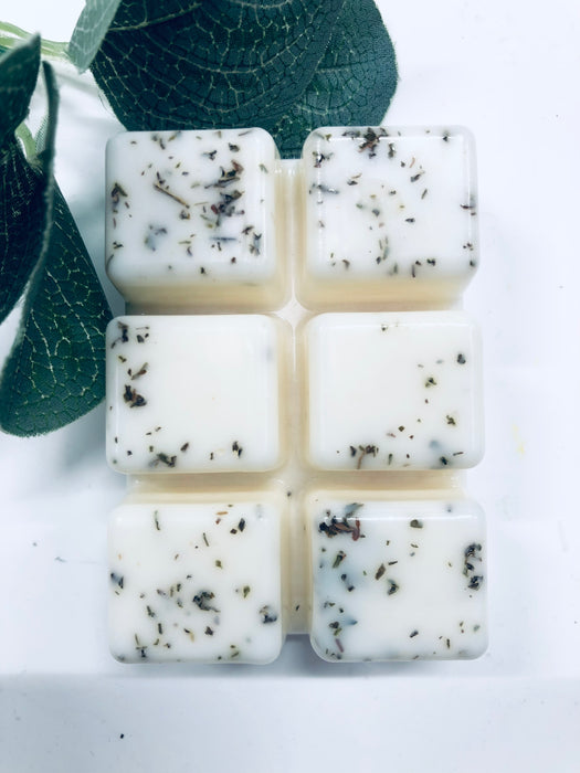 BOTANICAL WITCH - WILD MINT & LIME