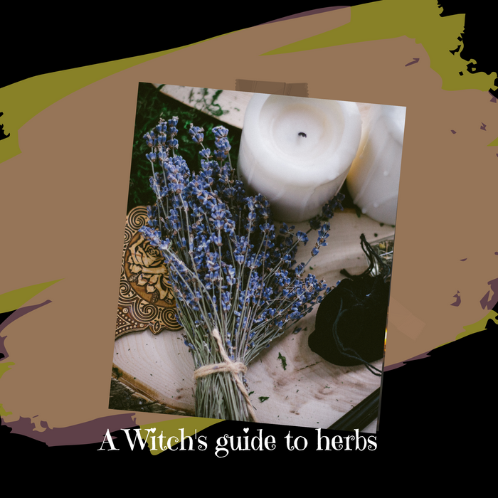 A Witch's guide to herbs