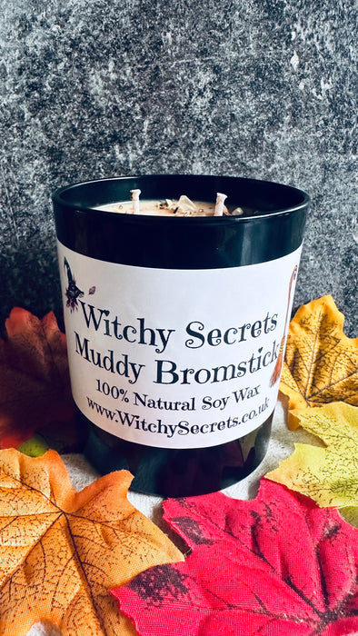 MUDDY BROOMSTICK-CRISP NIGHT FALL
