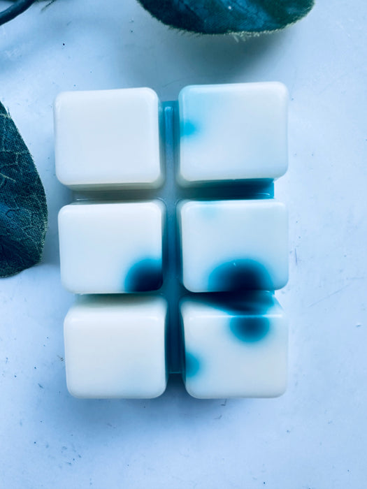 FROSTWITCH FIR - CHRISTMAS BAYBERRY