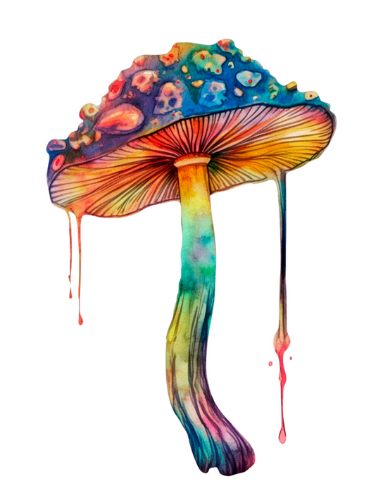 PSYCHEDELIC MUSHROOM T-SHIRT