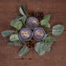 BEWITCHED - FRANKINCENSE & MYRRH - Witchy Wicks Ltd